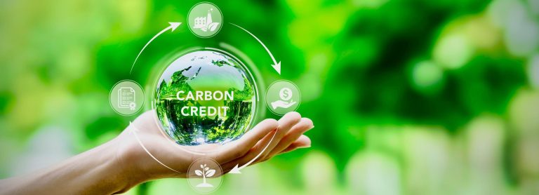 Steps to Conducting an Effective Carbon Credit Feasibility Study
